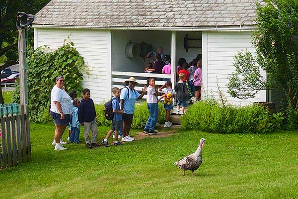 Field Trips - Yoder's Amish Home